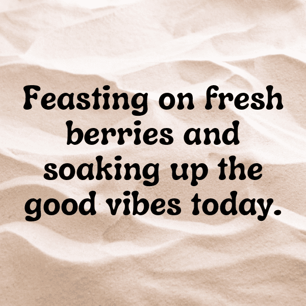 Barberry Captions Image For Instagram-ADNWR8