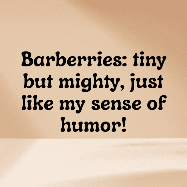 Barberry Captions Image For Instagram-IjiOlH