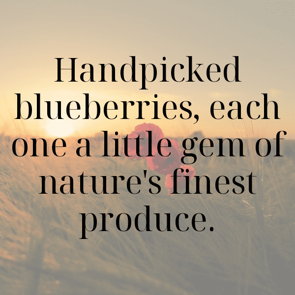 Barberry Captions Image For Instagram-xy0wpZ