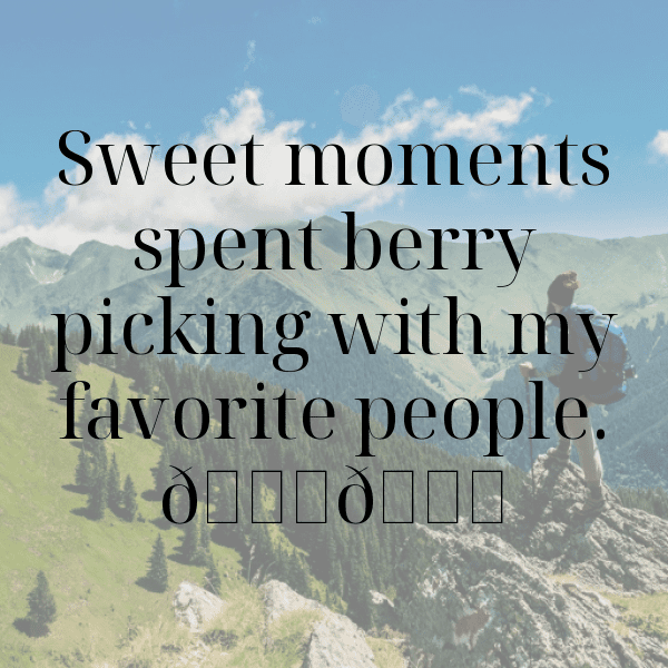 Barberry Captions Photo For Instagram-A5XJHx