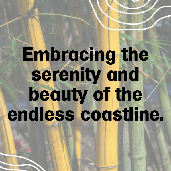 Beach Day Captions Photo for Instagram-JDii69