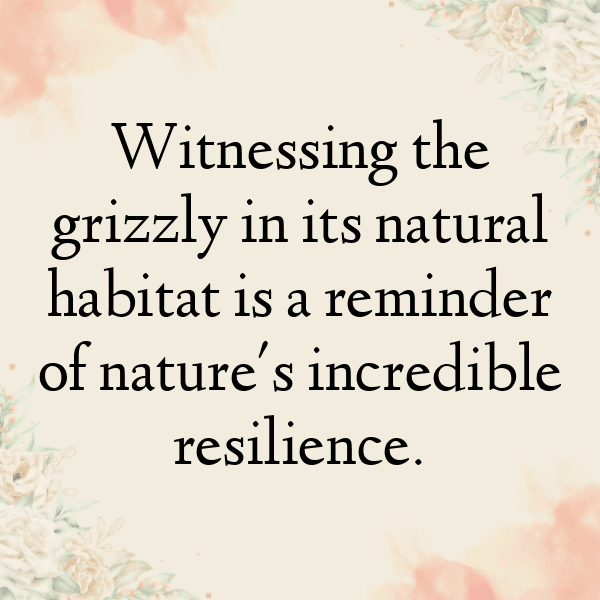 Bear Captions Image For Instagram-air1Fi