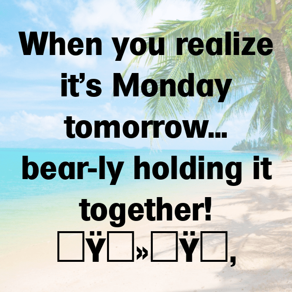 Bear Captions Image For Instagram-iF3rUl