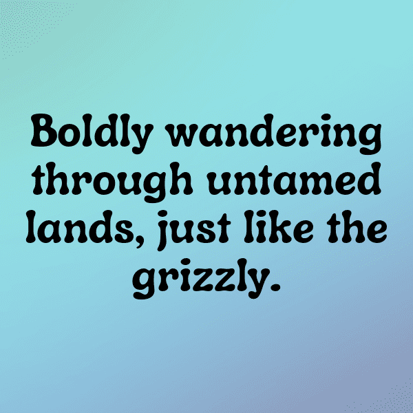 Bear Captions Image For Instagram-oYmApH