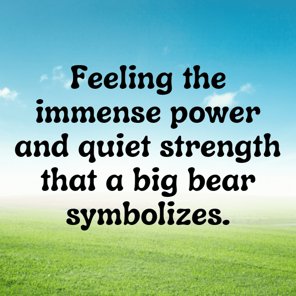 Bear Captions Image For Instagram-u7UTsO