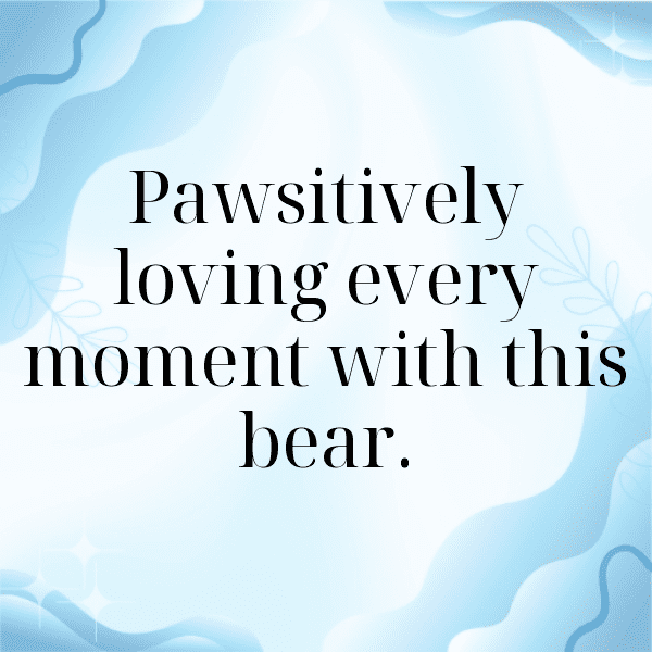 Bear Captions Photo For Instagram-0sUfWm