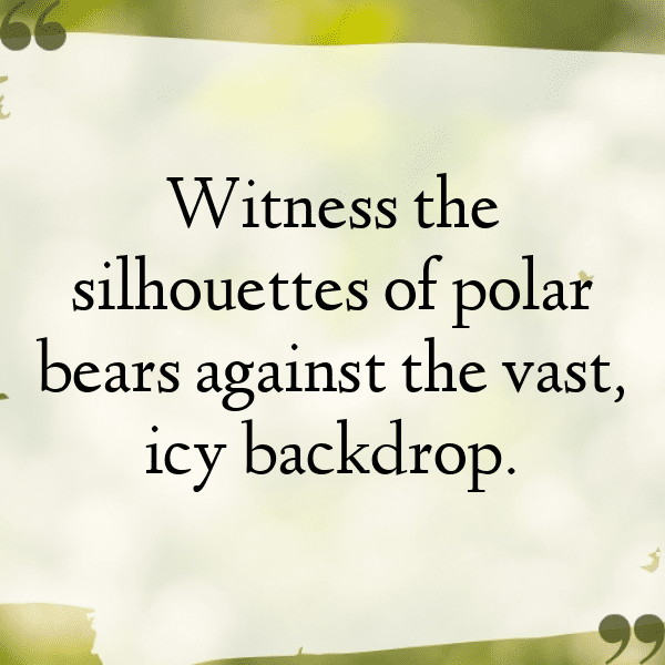 Bear Captions Photo For Instagram-wY7ppN