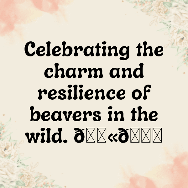 Beaver Captions Image For Instagram-oV5Zt4