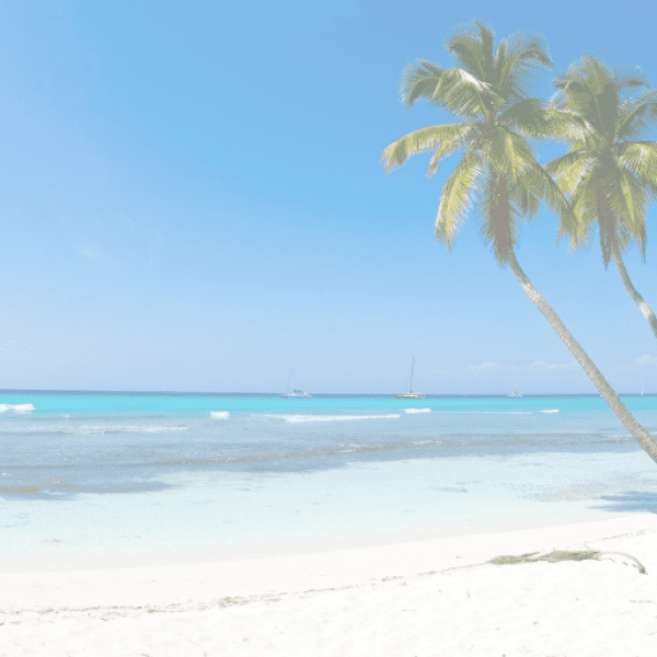 Beet Greens Captions Image For Instagram-ZqKuIi