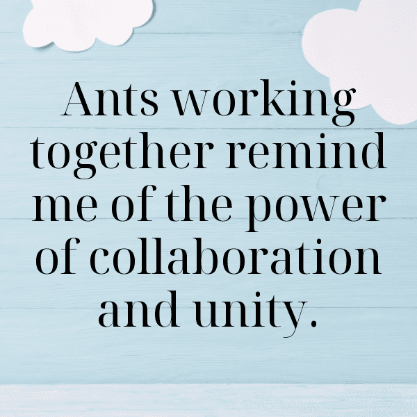 Beetle Captions Image For Instagram-0KxQ0F