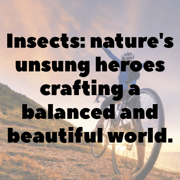 Beetle Captions Image For Instagram-MrIq9L