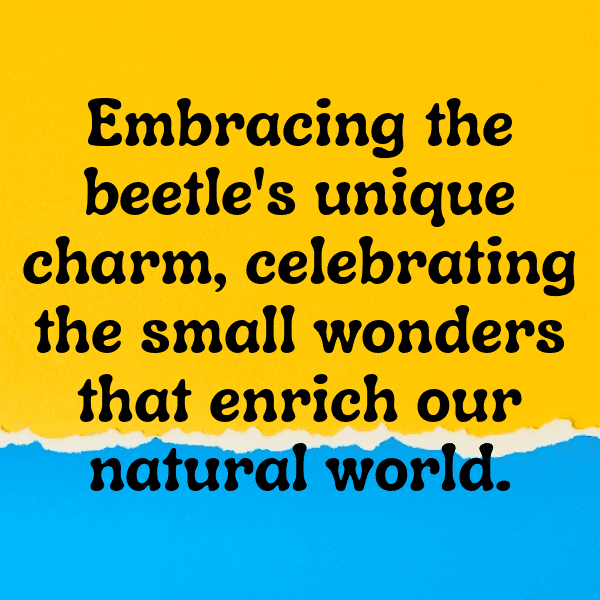 Beetle Captions Photo For Instagram-rmnDTA