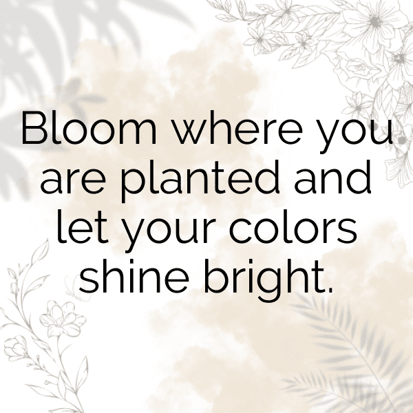 Begonia Captions Image For Instagram-fg2dlY