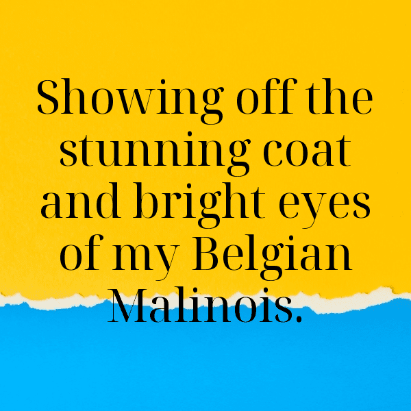 Belgium Captions Photo For Instagram-kTAAEm