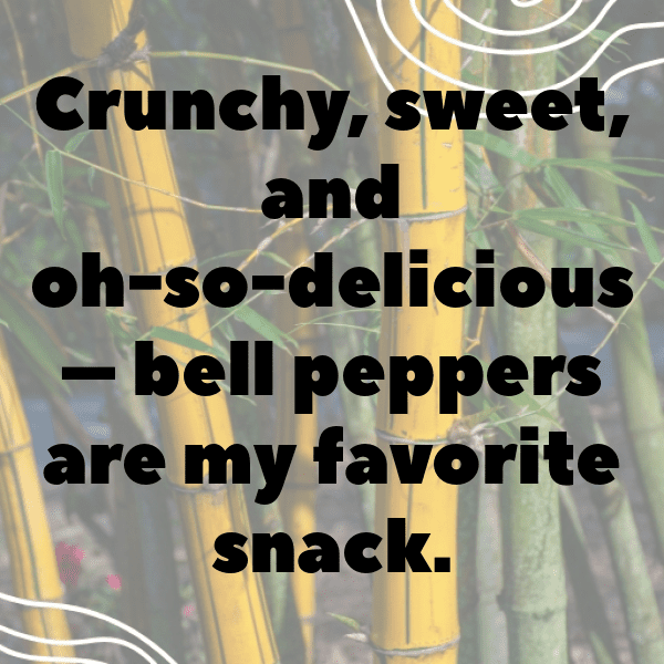 Bell Pepper Captions Photo For Instagram-3ekHL5