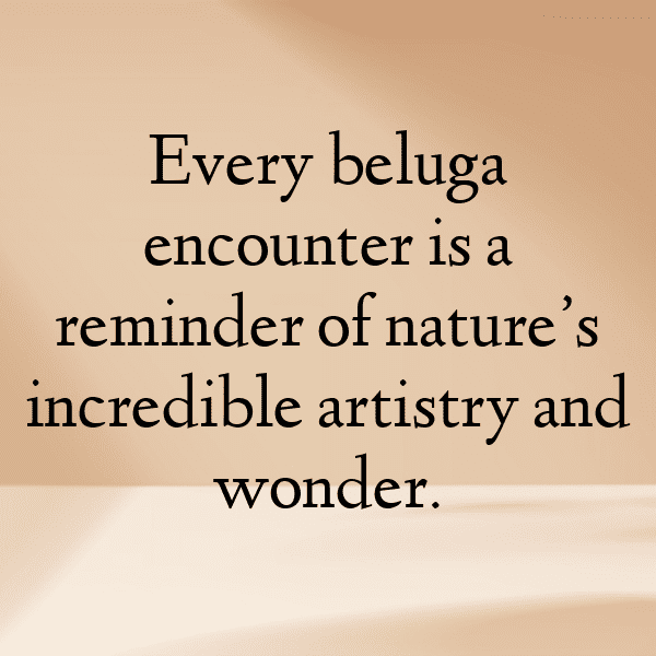Beluga Captions Image For Instagram-occZtS
