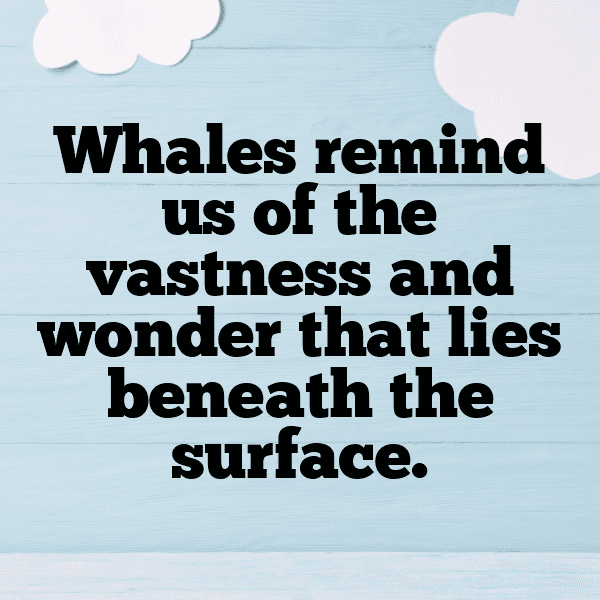 Beluga Captions Photo For Instagram-tKpyKi