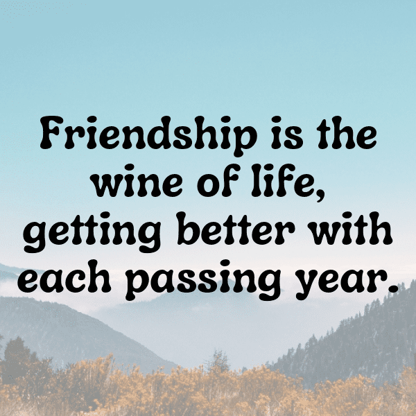 Best Friend Quotes Captions Photo For Instagram-HMUqTM