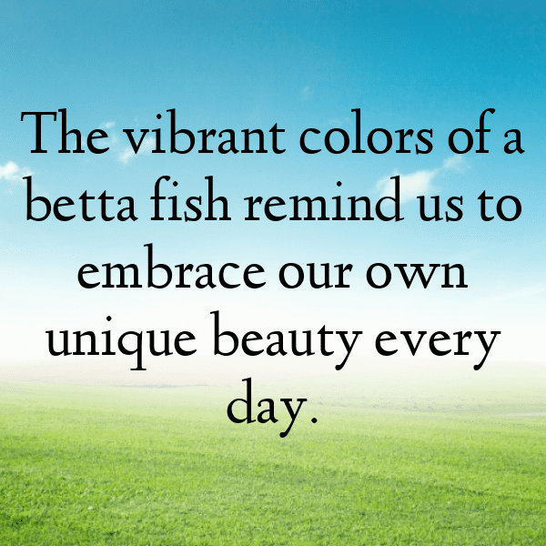 Betta Captions Image For Instagram-nrBq1u