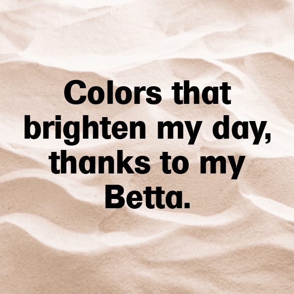 Betta Captions Photo For Instagram-zoMIfb