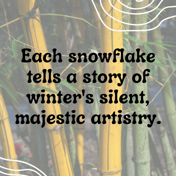 Biathlon Captions Photo for Instagram-TINvTT