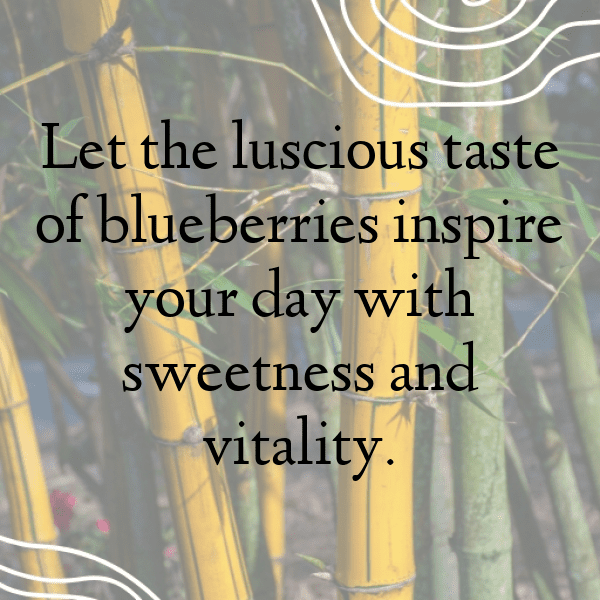 Bilberry Captions Image For Instagram-5LDggh