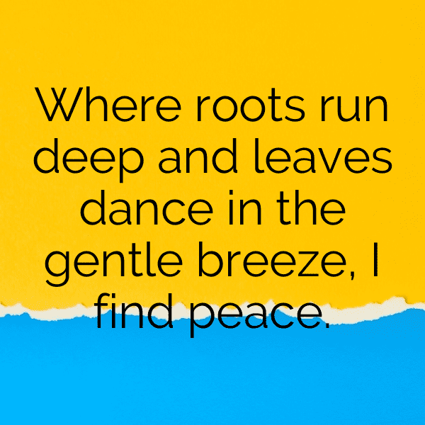 Bilberry Captions Image For Instagram-gPdCJx