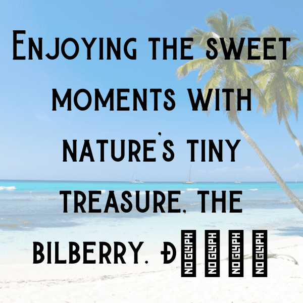 Bilberry Captions Image For Instagram-JaVMOZ