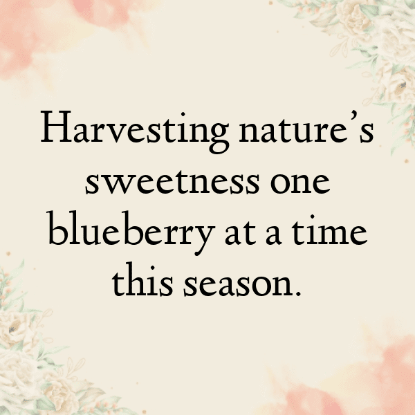 Bilberry Captions Photo For Instagram-8H6A7J