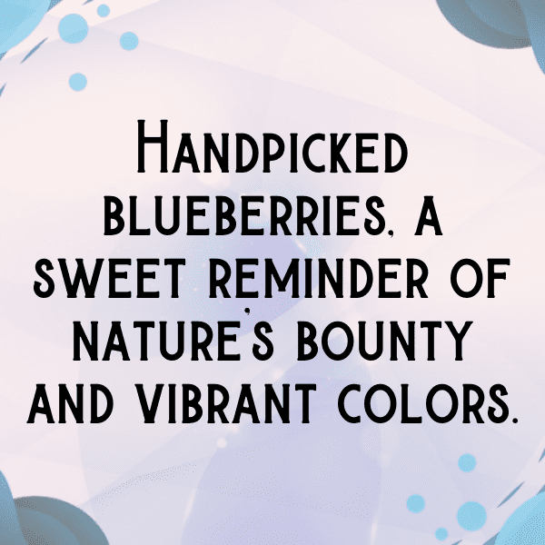 Bilberry Captions Photo For Instagram-jzvdc3