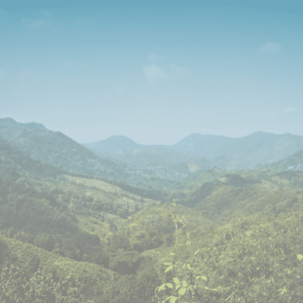 Bindi Captions Image For Instagram-AFWbef