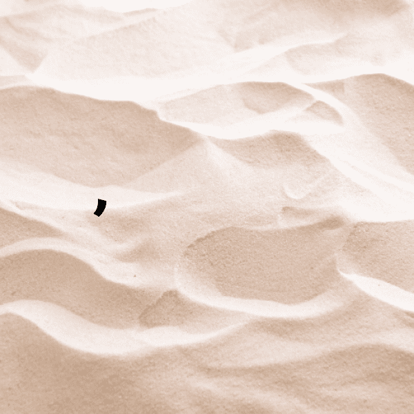 Bindi Captions Photo For Instagram-bM2dFZ