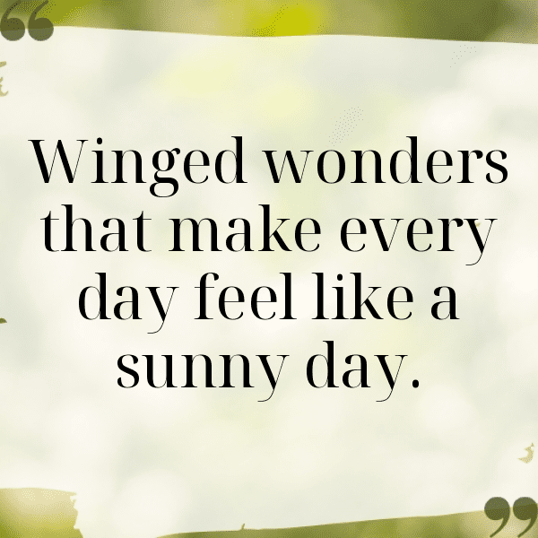 Bird of Paradise Captions Image For Instagram-cYpbrg