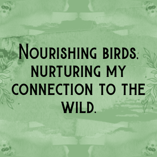 Bird of Paradise Captions Image For Instagram-W0Cmds