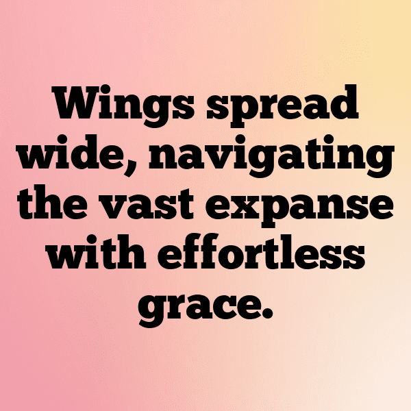 Bird of Paradise Captions Photo For Instagram-srXRFe