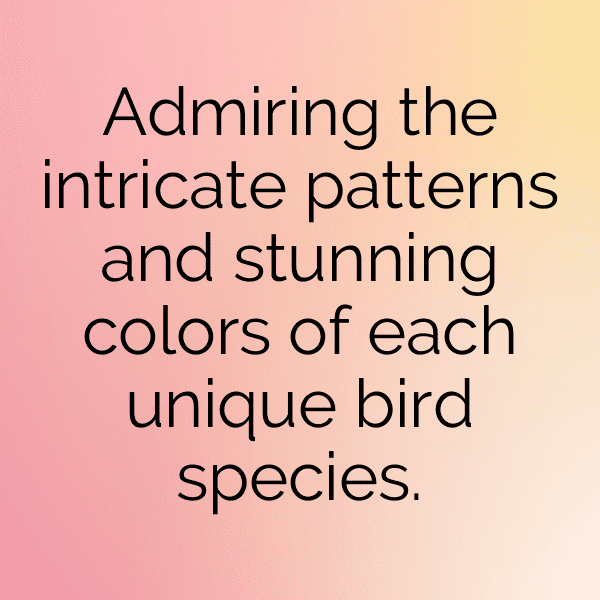 Birdwatching Captions Image for Instagram-3eFVfH