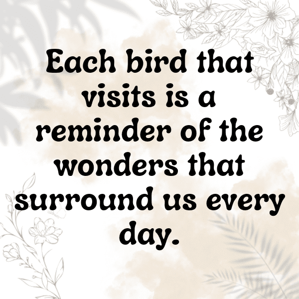 Birdwatching Captions Image for Instagram-HQUPME