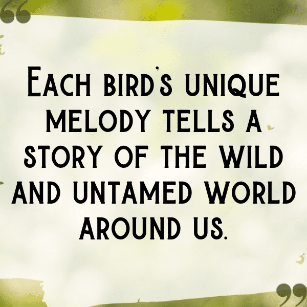 Birdwatching Captions Image for Instagram-pOJN1t