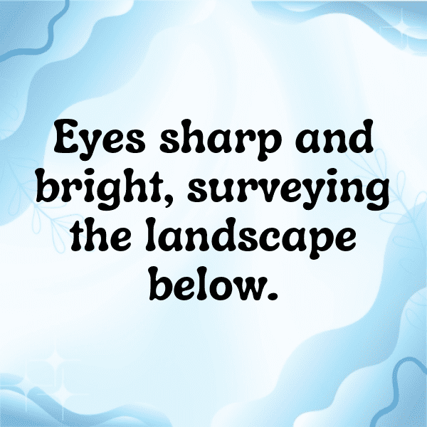 Birdwatching Captions Photo for Instagram-NGXACl