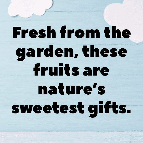 Bitter Melon Captions Photo For Instagram-3Lz01C