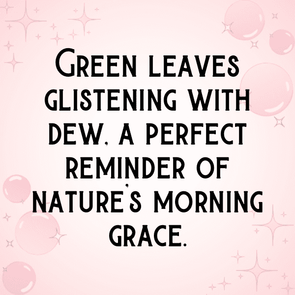 Bitterleaf Captions Image For Instagram-dLnfts