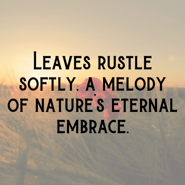 Bitterleaf Captions Image For Instagram-rP47SZ