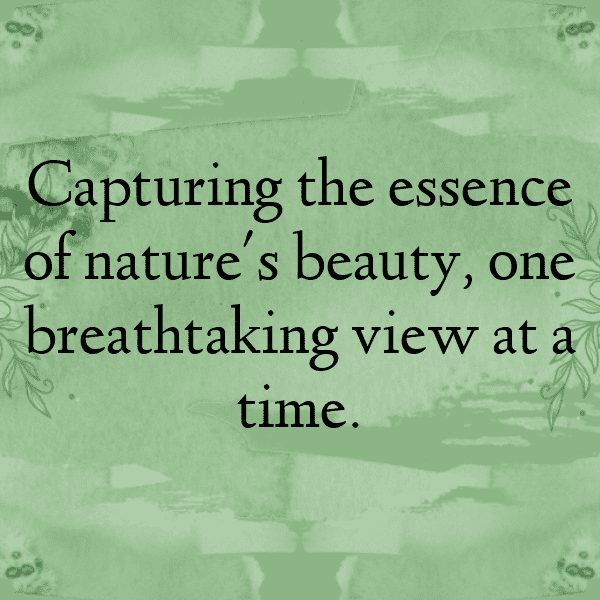 Bitterleaf Captions Photo For Instagram-hxX9Jn