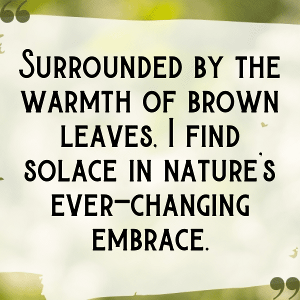 Bitterleaf Captions Photo For Instagram-Ve8kqq