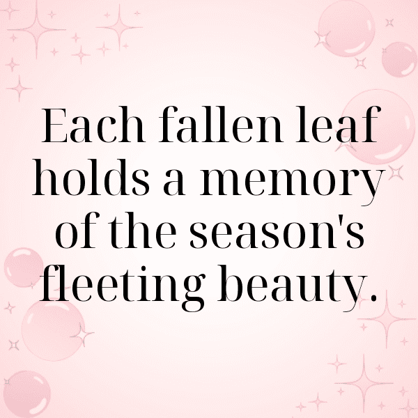 Bitterleaf Captions Photo For Instagram-VkZGYm