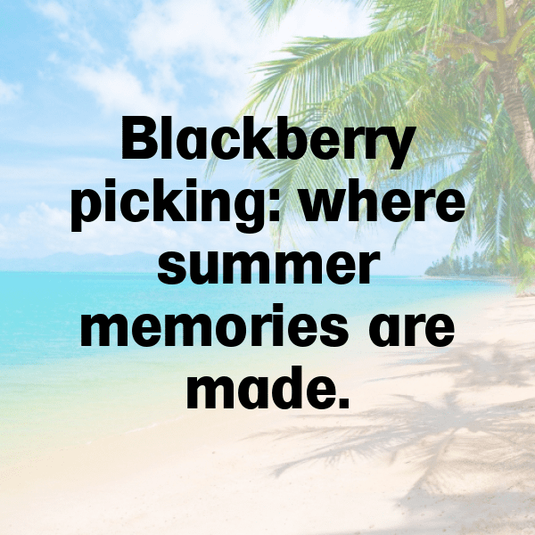 Blackberry Captions Image For Instagram-nIu2Wd