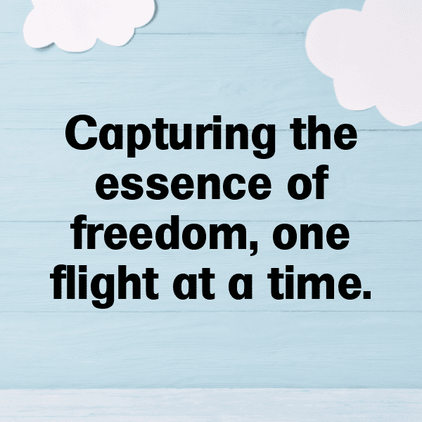 Blue Jay Captions Image For Instagram-1hjVNf