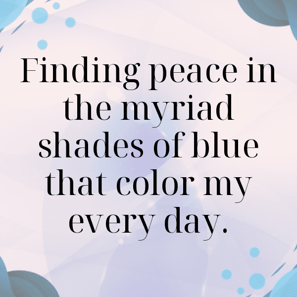 Blue Jay Captions Image For Instagram-JOND1y