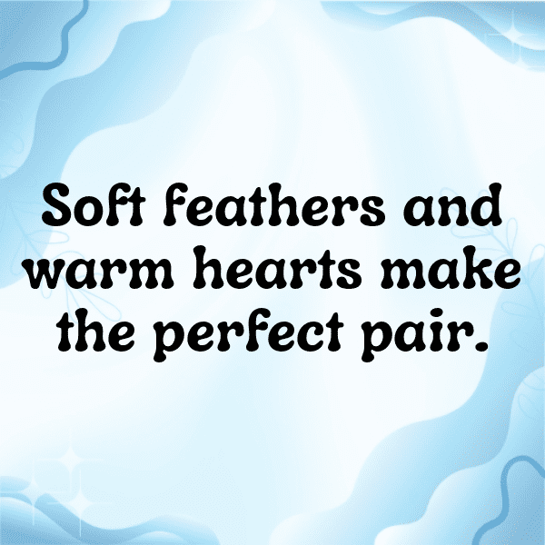 Blue Jay Captions Photo For Instagram-A9Mnpp