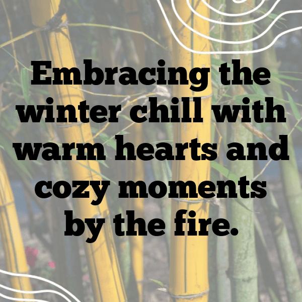 Bluebell Captions Image For Instagram-EHSSZn